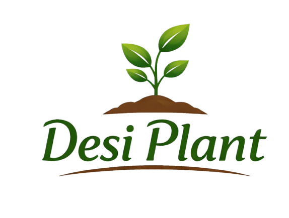 Desi Plant Logo- Live plant online